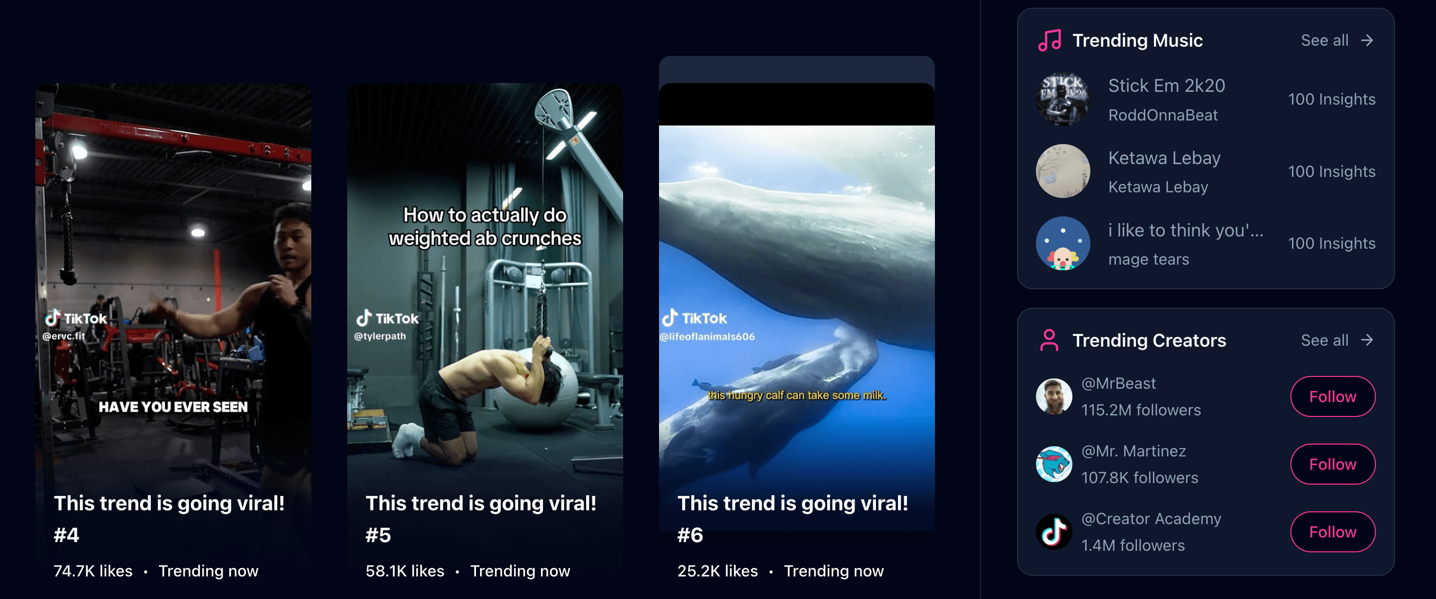 App Screenshot 2